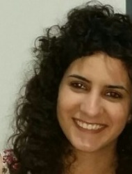 נועם עינב