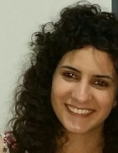 נועם עינב